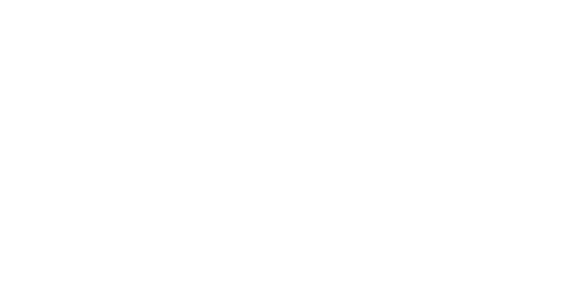 Seguros Lion -Agencia de Seguros en Bogotá